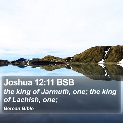Joshua 12:11 BSB Bible Verse Image