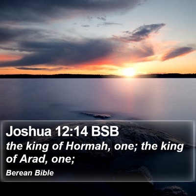 Joshua 12:14 BSB Bible Verse Image
