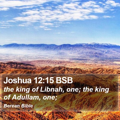 Joshua 12:15 BSB Bible Verse Image