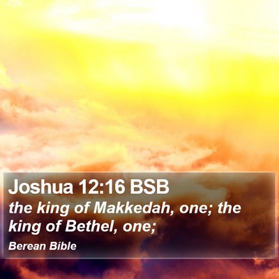 Joshua 12:16 BSB Bible Verse Image