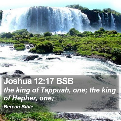 Joshua 12:17 BSB Bible Verse Image