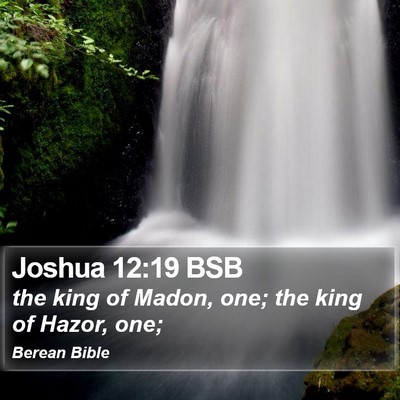 Joshua 12:19 BSB Bible Verse Image