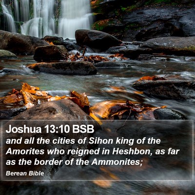 Joshua 13:10 BSB Bible Verse Image