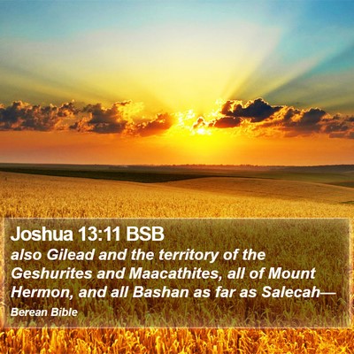 Joshua 13:11 BSB Bible Verse Image