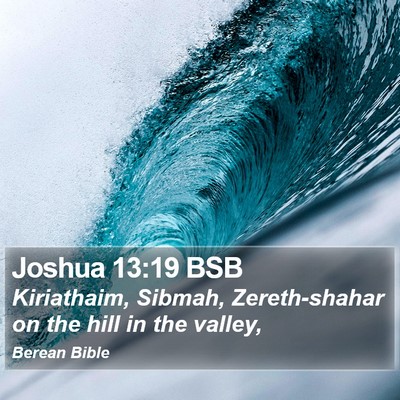 Joshua 13:19 BSB Bible Verse Image