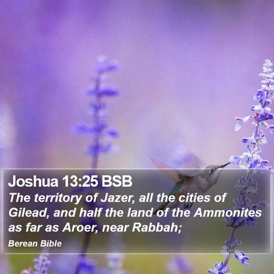 Joshua 13:25 BSB Bible Verse Image