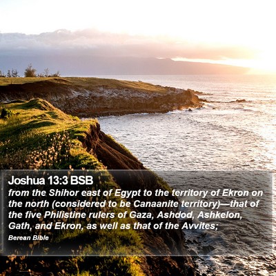Joshua 13:3 BSB Bible Verse Image