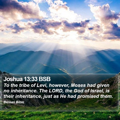 Joshua 13:33 BSB Bible Verse Image
