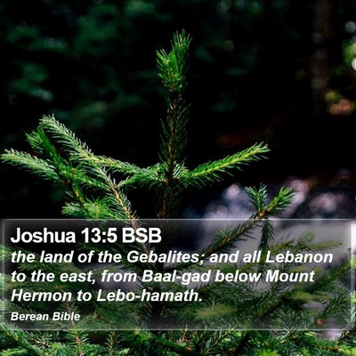 Joshua 13:5 BSB Bible Verse Image
