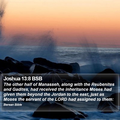 Joshua 13:8 BSB Bible Verse Image