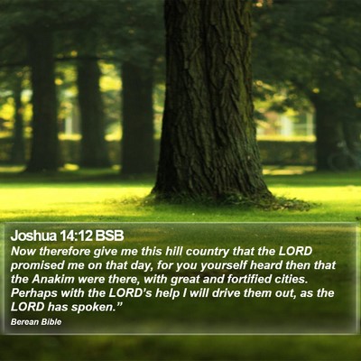 Joshua 14:12 BSB Bible Verse Image