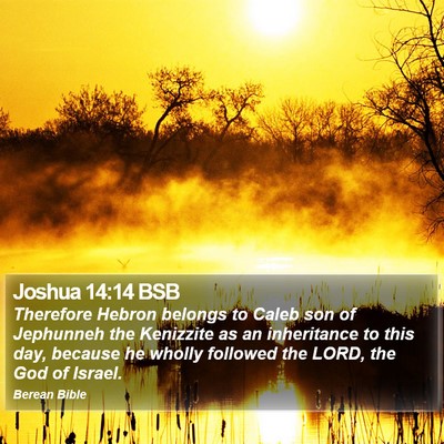 Joshua 14:14 BSB Bible Verse Image