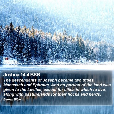 Joshua 14:4 BSB Bible Verse Image