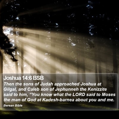 Joshua 14:6 BSB Bible Verse Image