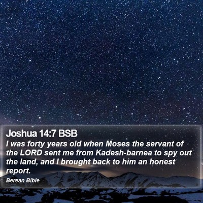 Joshua 14:7 BSB Bible Verse Image