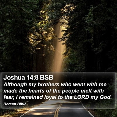 Joshua 14:8 BSB Bible Verse Image