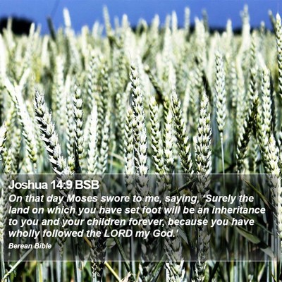 Joshua 14:9 BSB Bible Verse Image