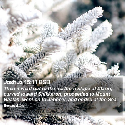 Joshua 15:11 BSB Bible Verse Image