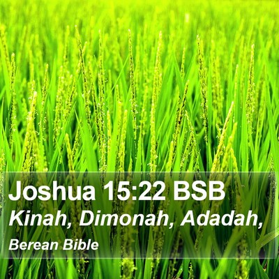 Joshua 15:22 BSB Bible Verse Image