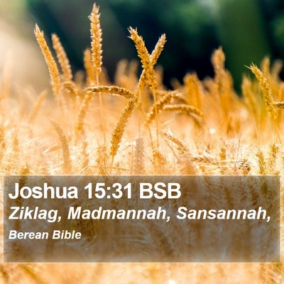 Joshua 15:31 BSB Bible Verse Image