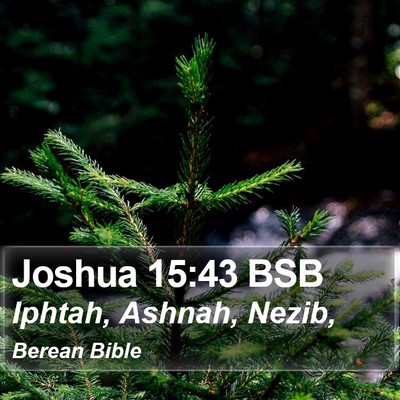 Joshua 15:43 BSB Bible Verse Image