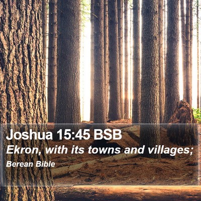 Joshua 15:45 BSB Bible Verse Image