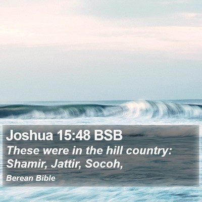 Joshua 15:48 BSB Bible Verse Image