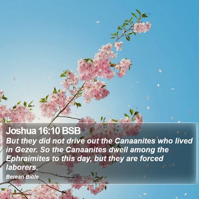 Joshua 16:10 BSB Bible Verse Image