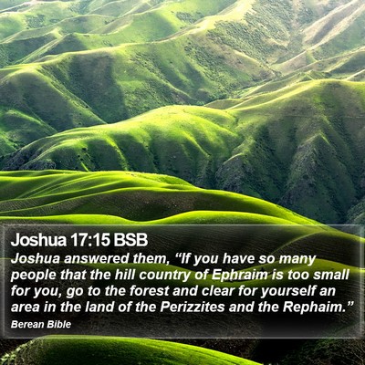 Joshua 17:15 BSB Bible Verse Image