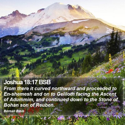 Joshua 18:17 BSB Bible Verse Image
