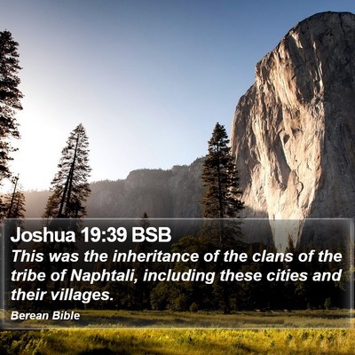 Joshua 19:39 BSB Bible Verse Image