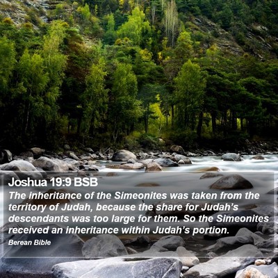 Joshua 19:9 BSB Bible Verse Image