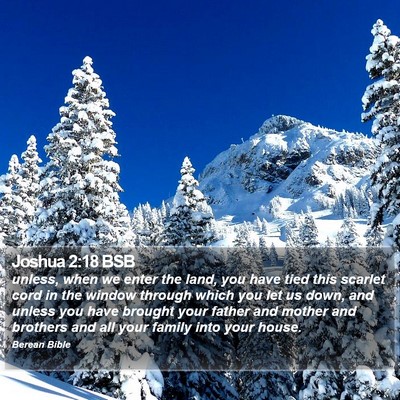 Joshua 2:18 BSB Bible Verse Image