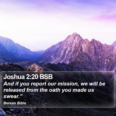 Joshua 2:20 BSB Bible Verse Image