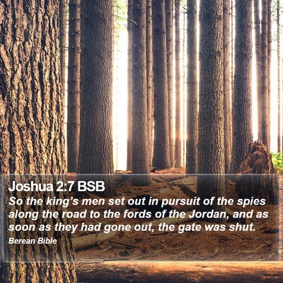 Joshua 2:7 BSB Bible Verse Image