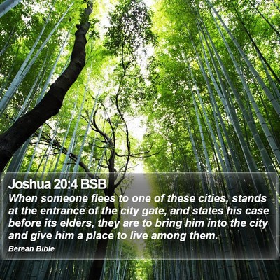 Joshua 20:4 BSB Bible Verse Image