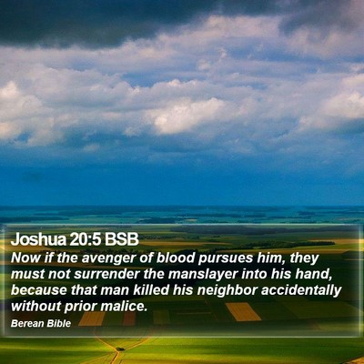 Joshua 20:5 BSB Bible Verse Image