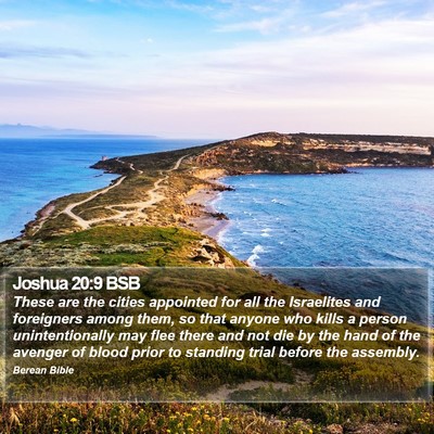 Joshua 20:9 BSB Bible Verse Image