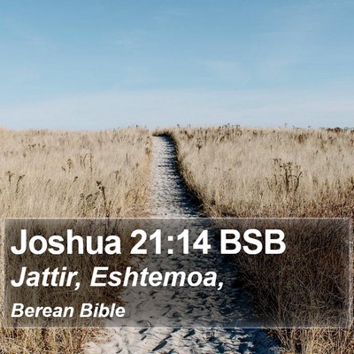 Joshua 21:14 BSB Bible Verse Image