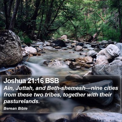 Joshua 21:16 BSB Bible Verse Image