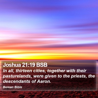 Joshua 21:19 BSB Bible Verse Image