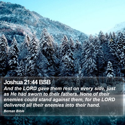 Joshua 21:44 BSB Bible Verse Image