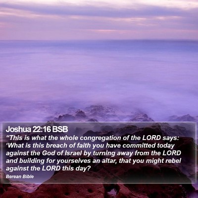 Joshua 22:16 BSB Bible Verse Image