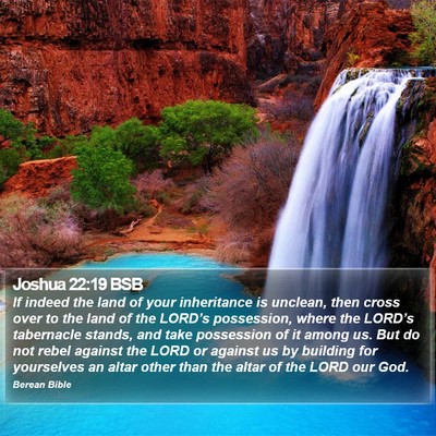 Joshua 22:19 BSB Bible Verse Image