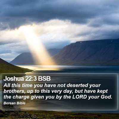 Joshua 22:3 BSB Bible Verse Image