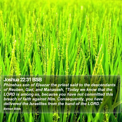 Joshua 22:31 BSB Bible Verse Image