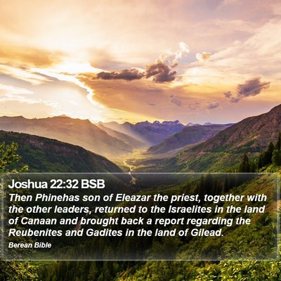 Joshua 22:32 BSB Bible Verse Image