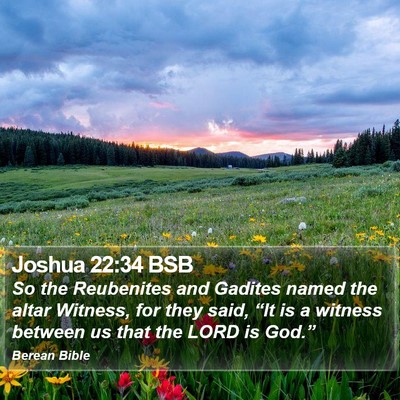 Joshua 22:34 BSB Bible Verse Image