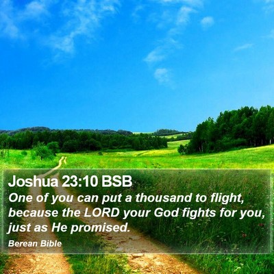 Joshua 23:10 BSB Bible Verse Image