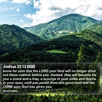 Joshua 23:13 BSB Bible Verse Image